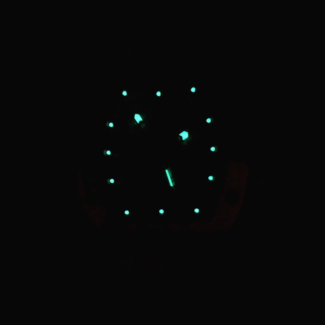 RICHARD RM-010