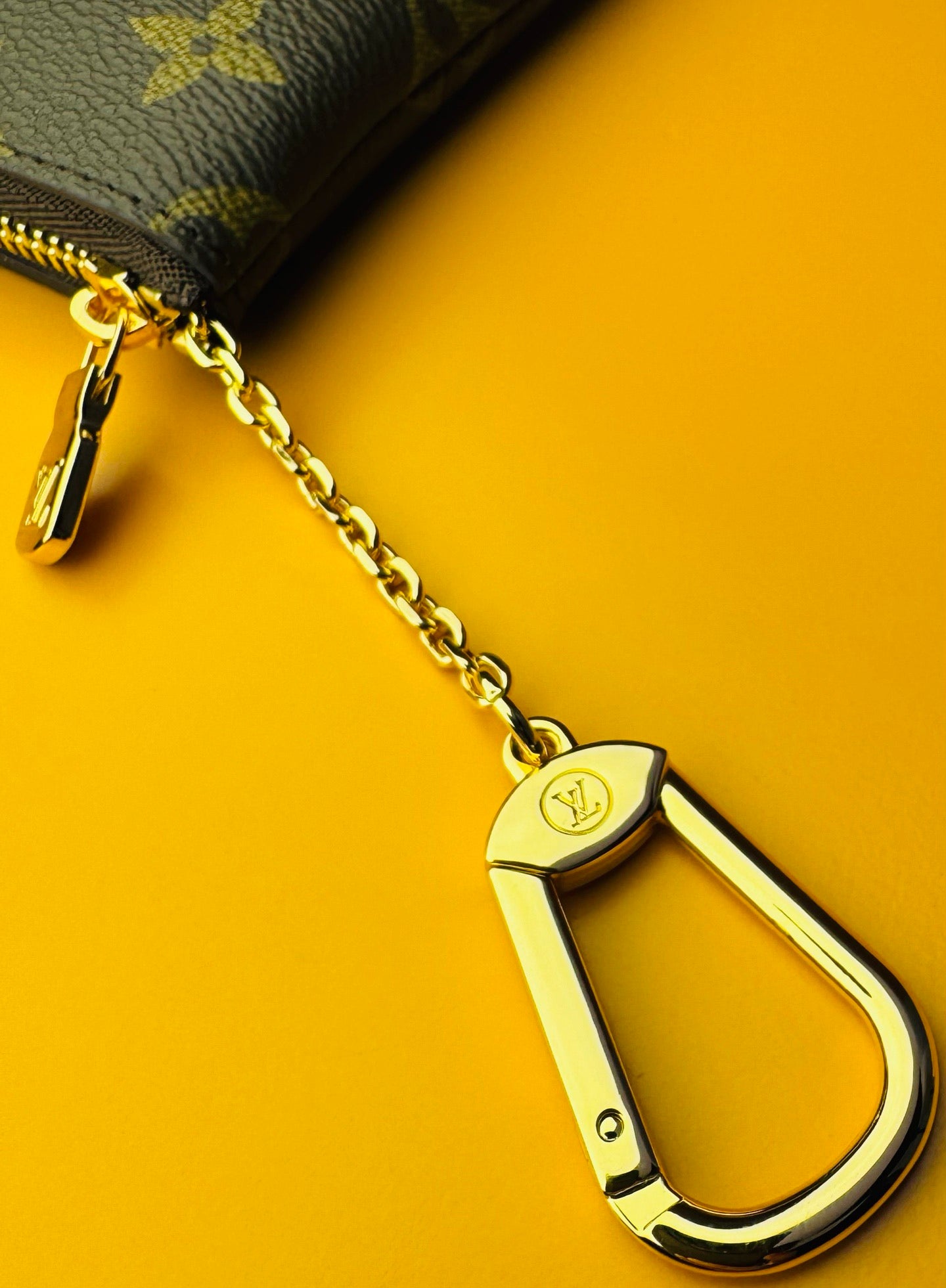 LV 2025 Key Pouch S Brown Cowhide Canvas