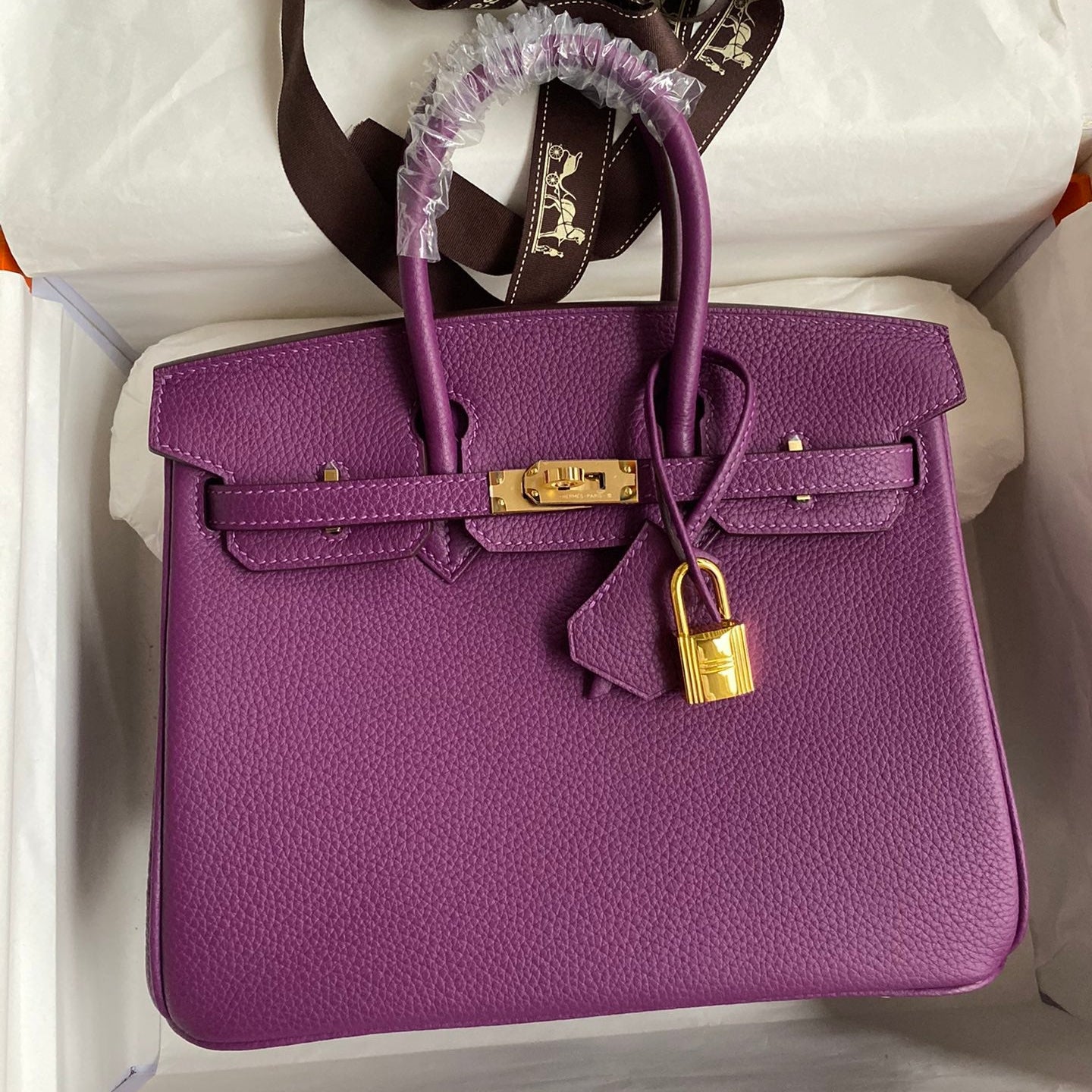 Hermes 2025 Birkin Bag Purple With Gold Hardware Epsom Leather