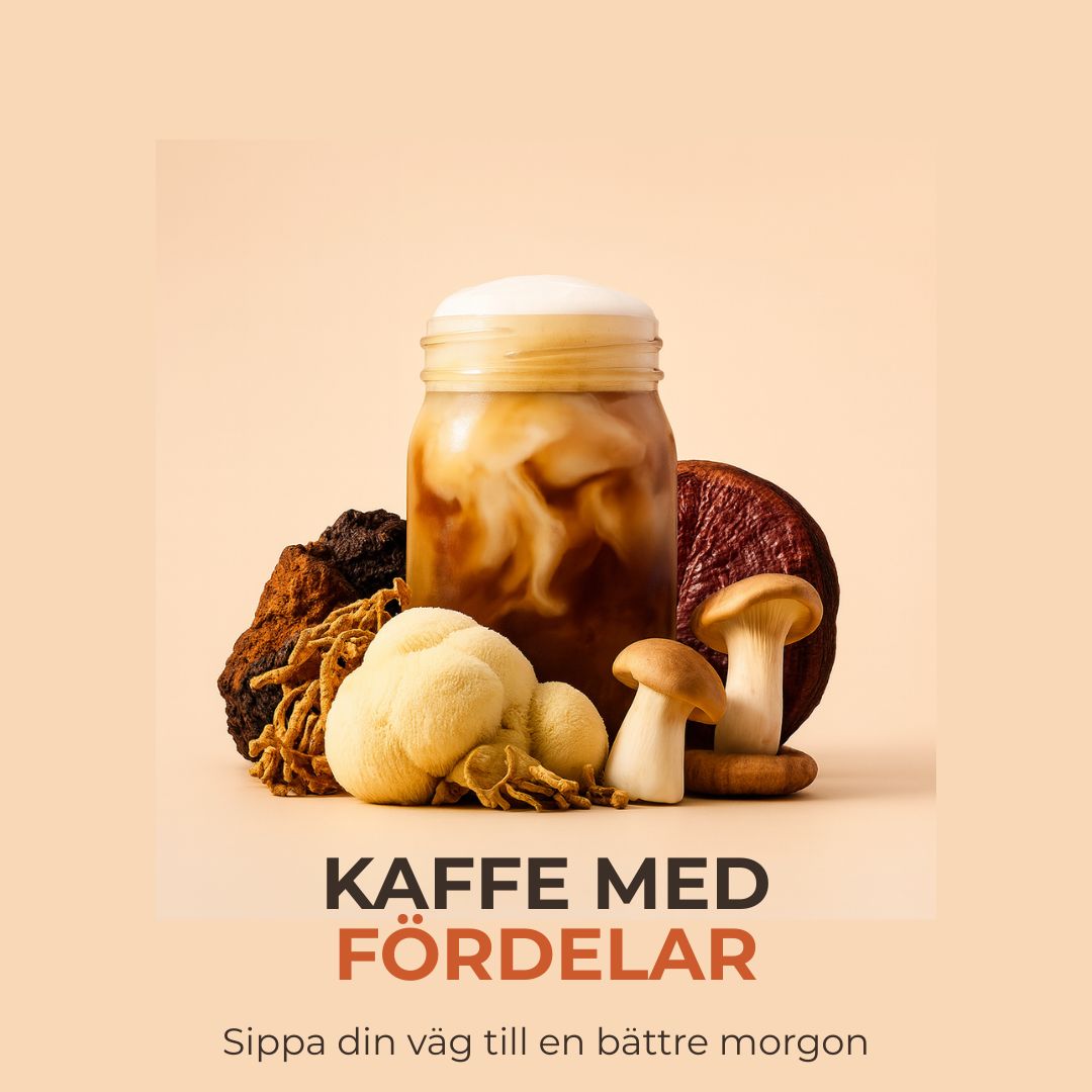 LIVRA Svampkaffeblandningen #VEV30258