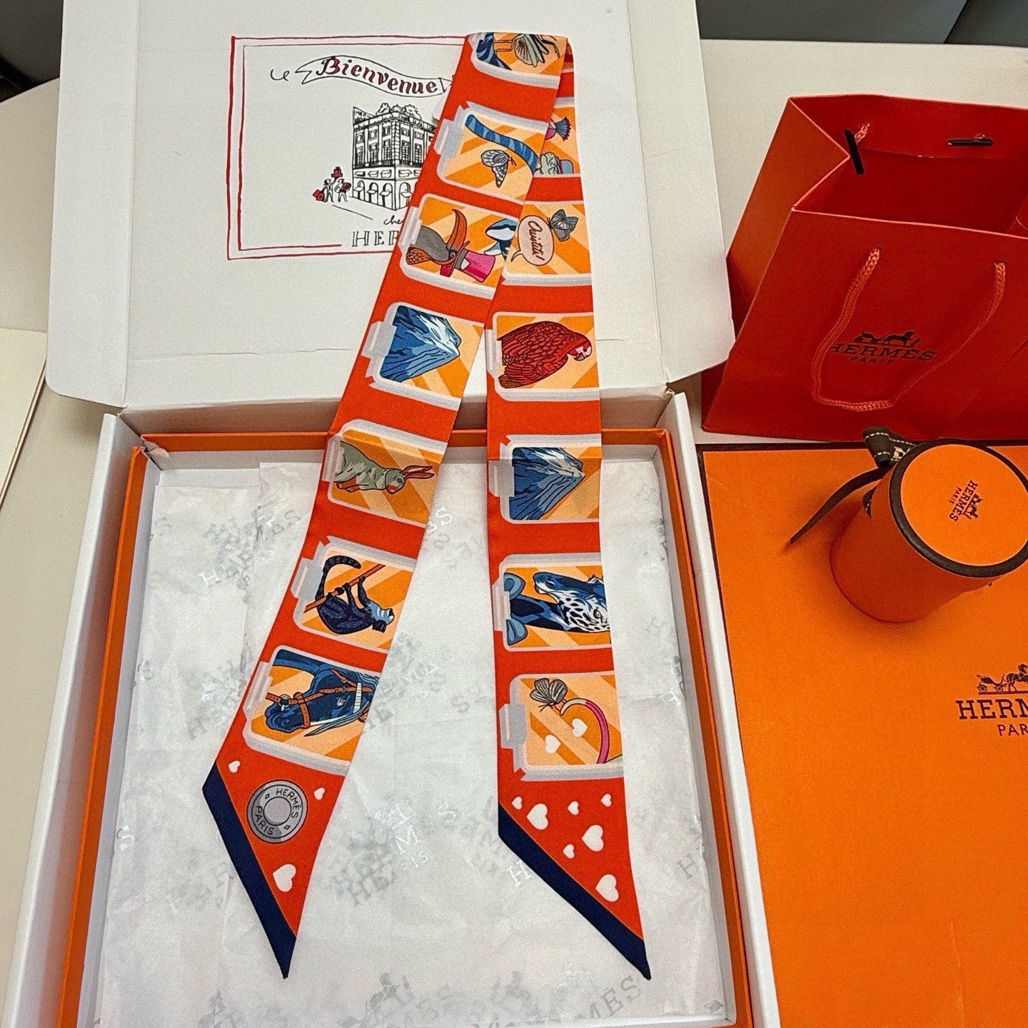 HM Twilly Mini Scarf 86CM Orange Red Colorful Mulberry Silk 957154