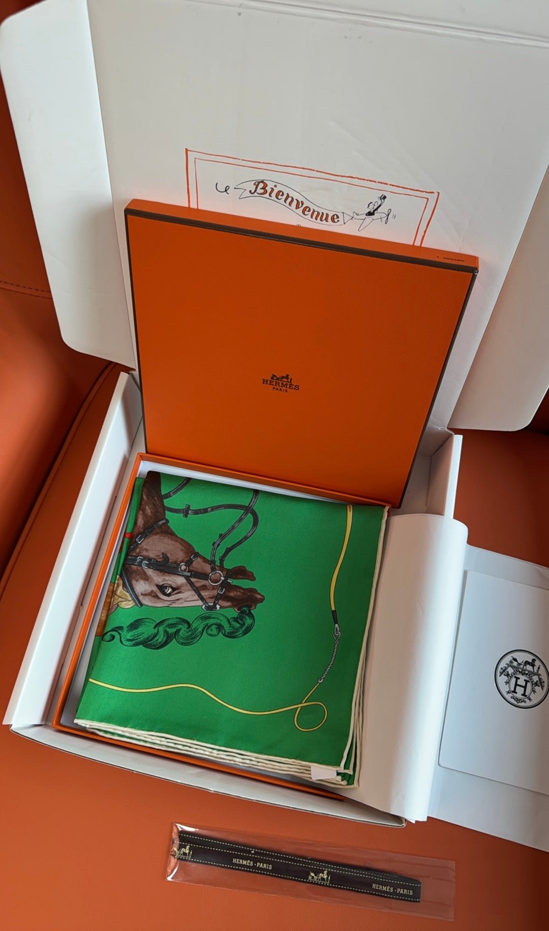 HM 26s 90 House Scarf Green Colorful Mulberry Silk 153368