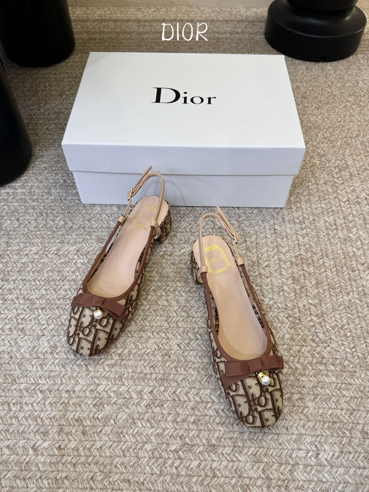 Dior 2026 Embroidered Slingback 30mm Cotton Leather 933329