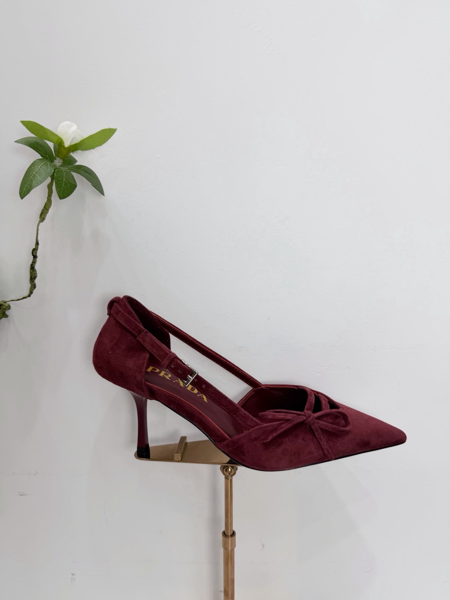 PRA 26SS Pumps 75  Burgundy Suede 592350