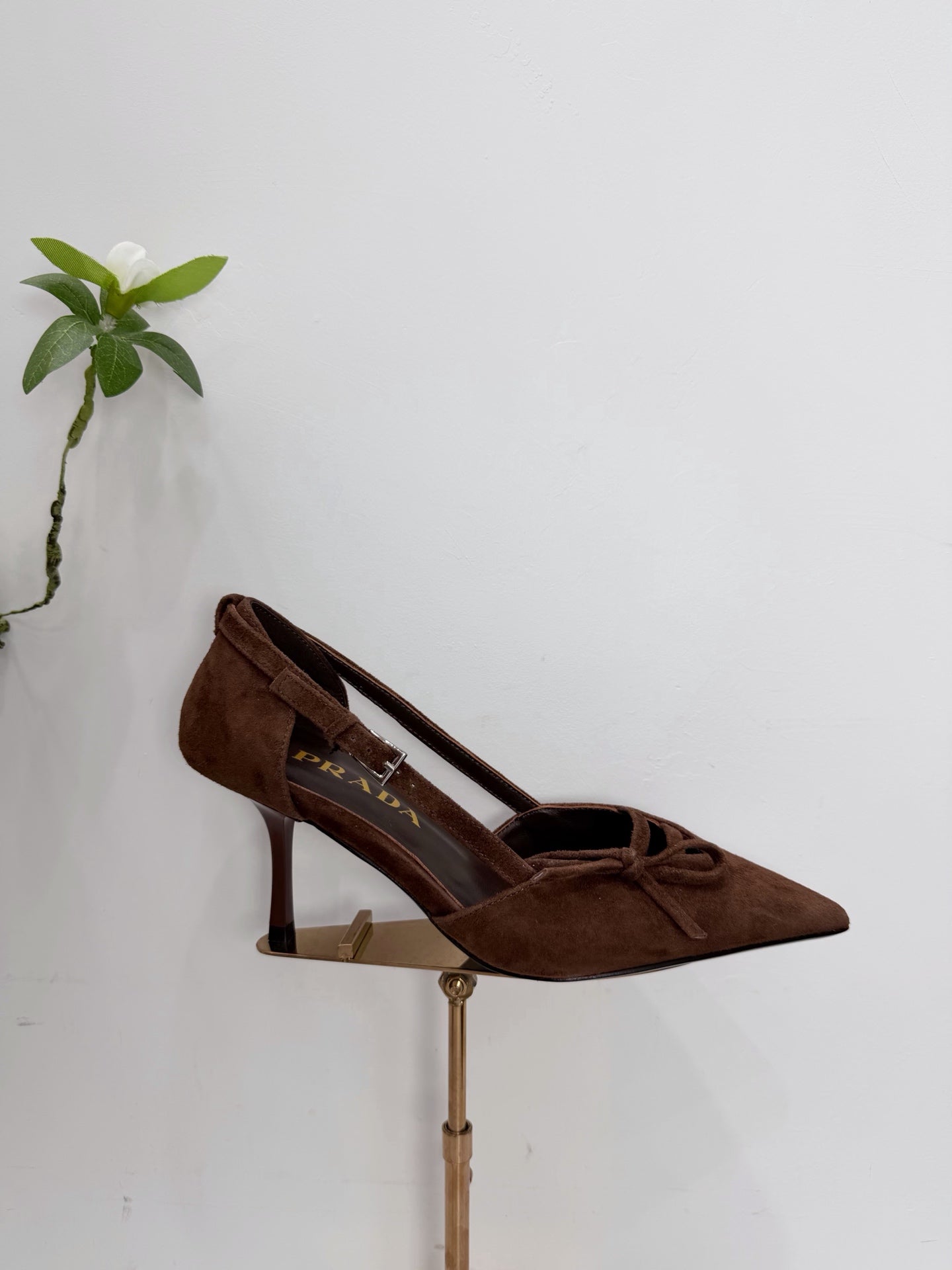 PRA 26SS Pumps 75  Dark Brown Suede 592351