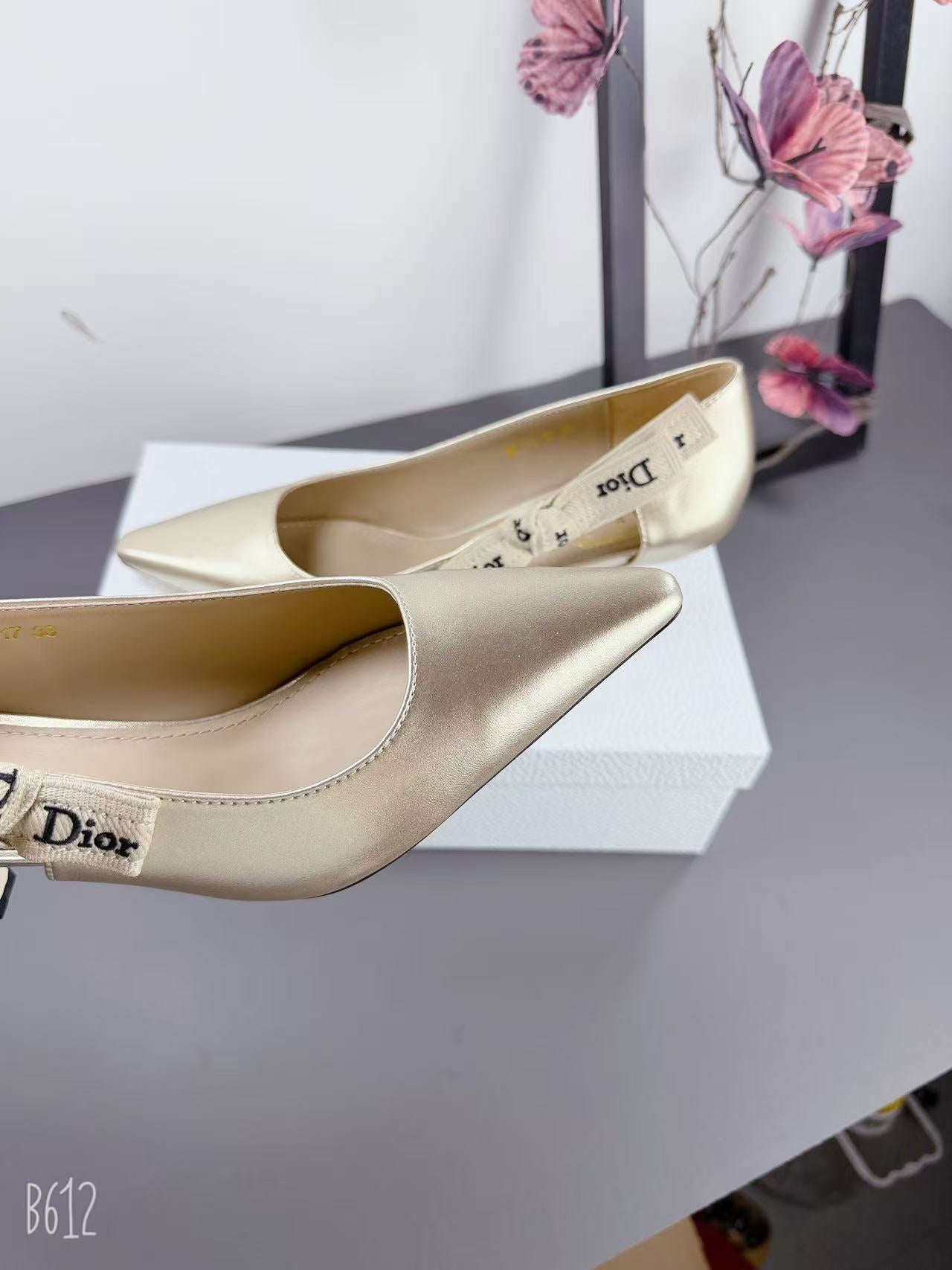 Dior 2026 High Heels Pumps Lambskin 939029
