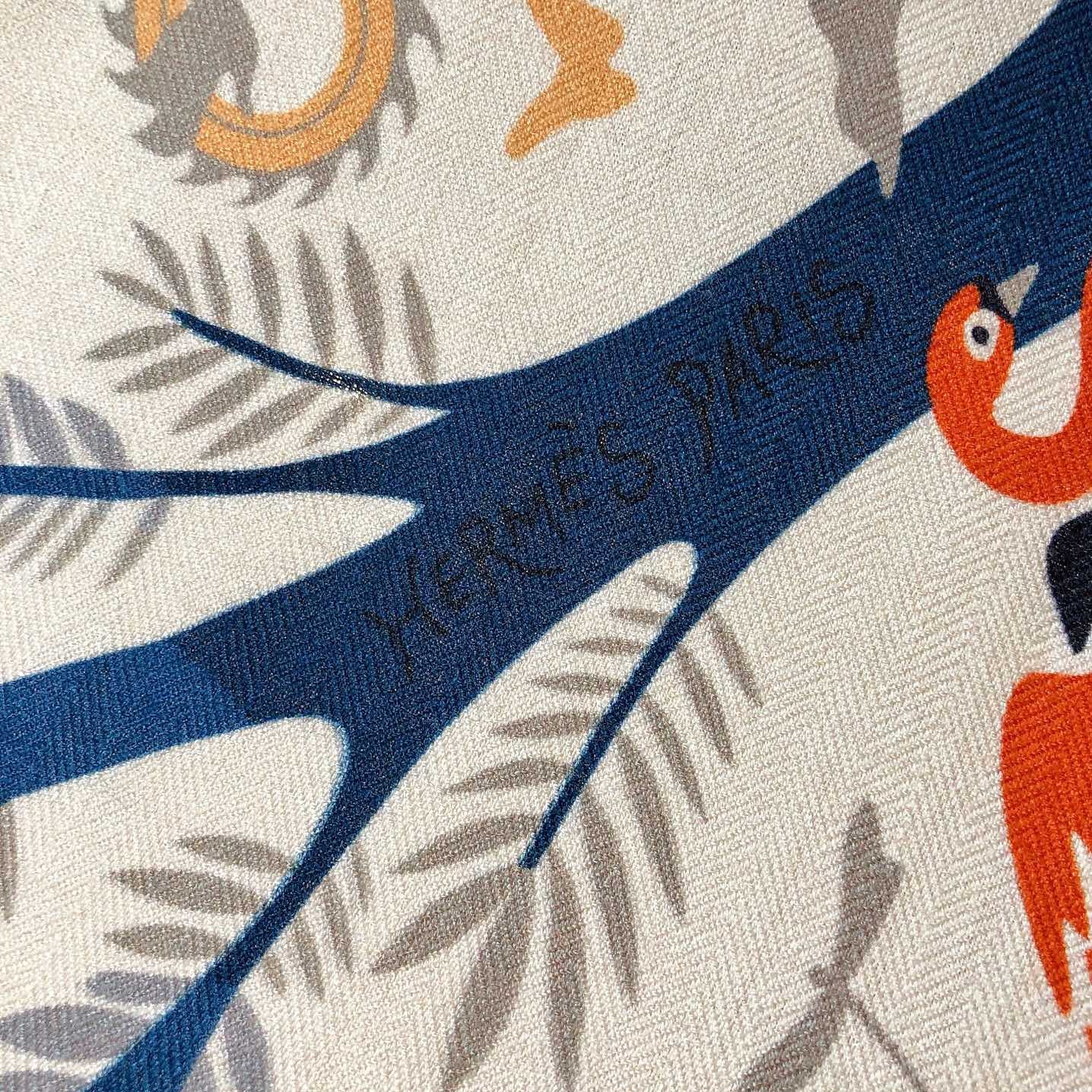 Hermes 2026 Sous le Charme d'Orphee Shawl 140 Cashmere Silk